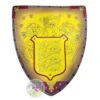 Disney Toy - Disney Family Crest Foam Shield - Lions